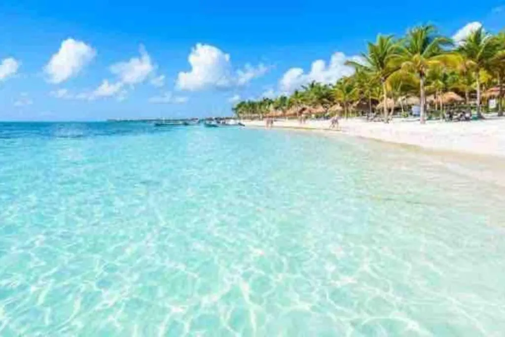 Vive Tus Vacaciones, Depa Nuevo Playa Del Carmen Apartment